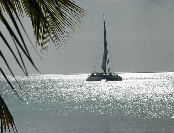 marie-galante31