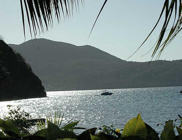 paysage17-saintes