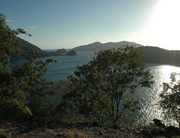 paysage20-saintes
